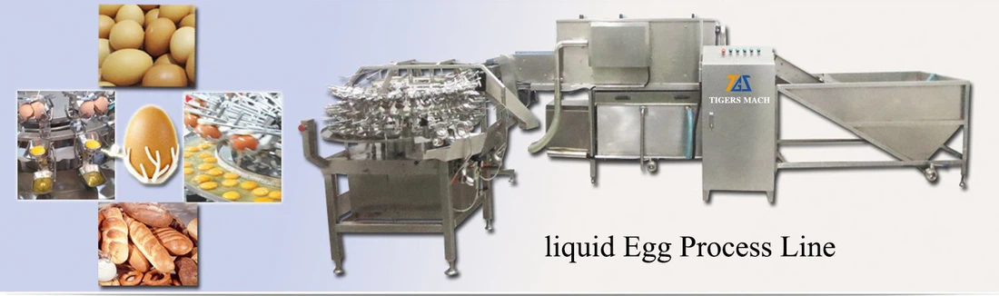 41 Liquid egg process line from Tigers Machinery001 41 Liquid egg process line from Tigers Machinery001
