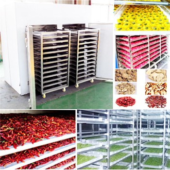 Која је важност сушара за воће и поврће?