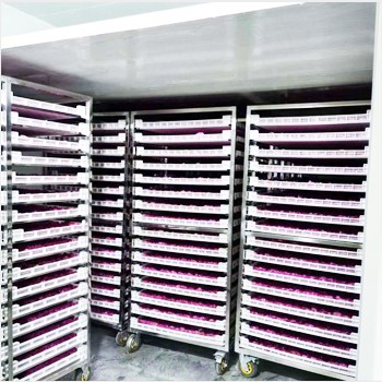 Основно упознавање са сушарама за воће и поврће